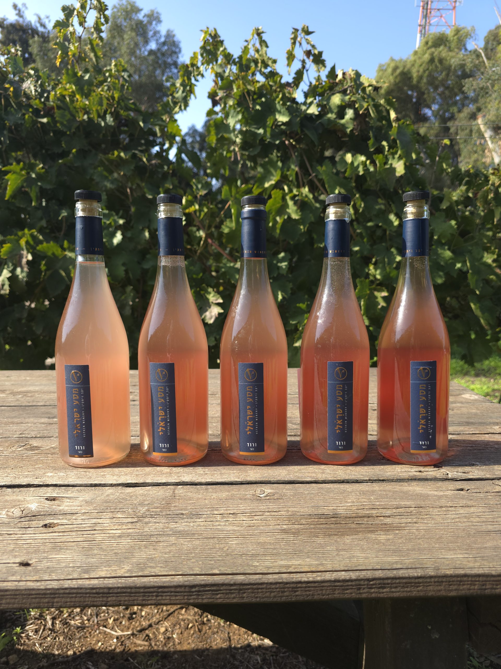 מעשה בחמישה ורודים- מסע אל הורוד המושלם