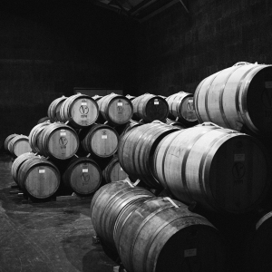 לטעום את הדרך - ערב מתיישנים ביקב ויתקין